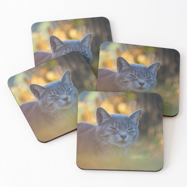 Item preview, Feline in Fall designed and sold by TheeForestFox Shop.
