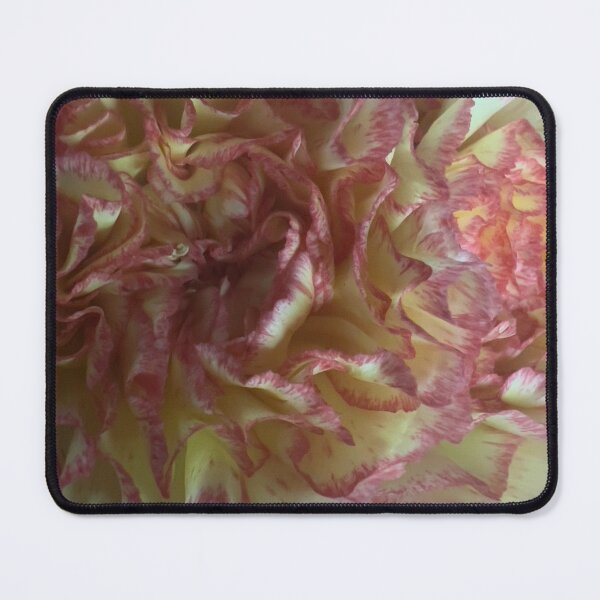 Item preview, Amazing Coronation of Pink and Yellow designed and sold by Betsy Phillips.