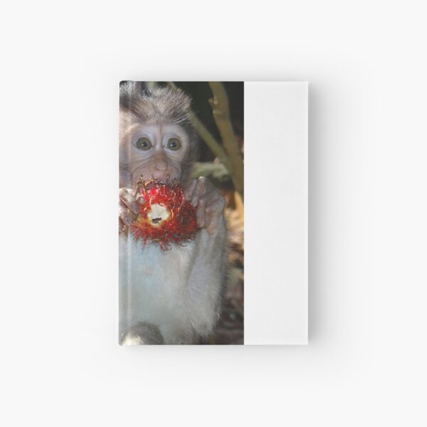 Juicy Fruit 1 Hardcover Journal
