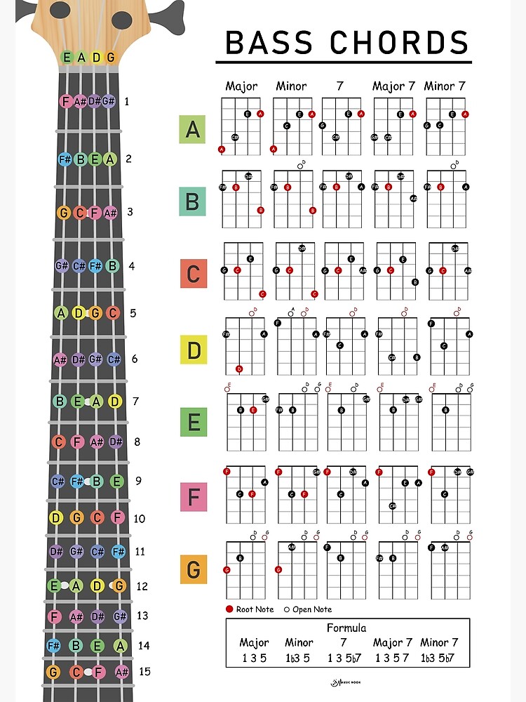 Bass Chords and Fretboard Journal