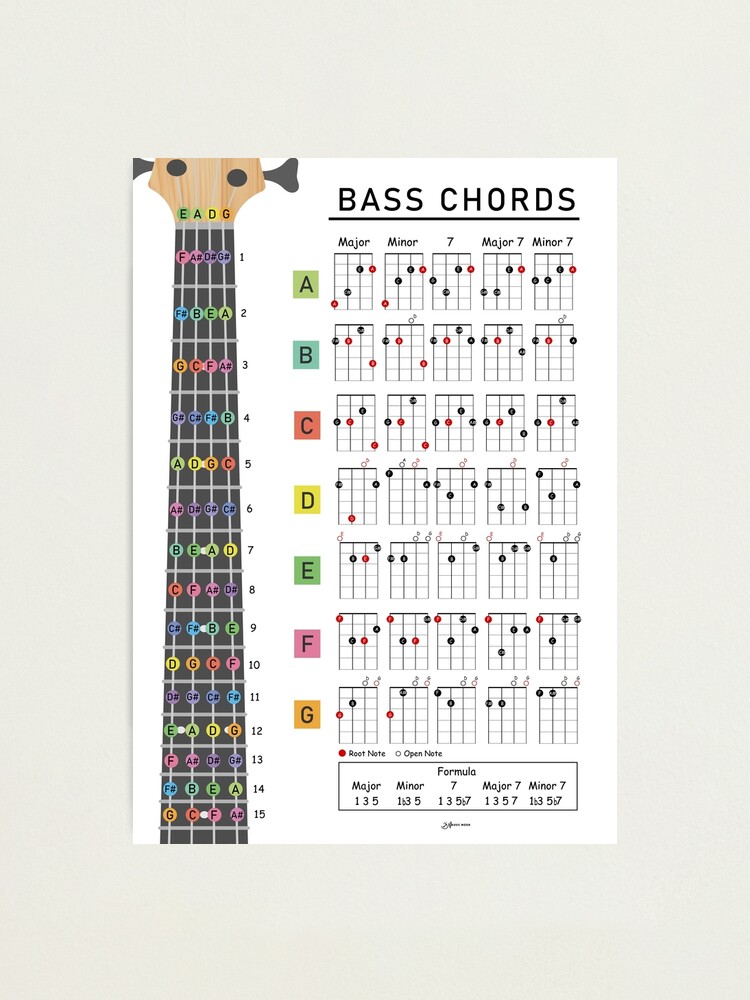 Bass Chords and Fretboard Journal