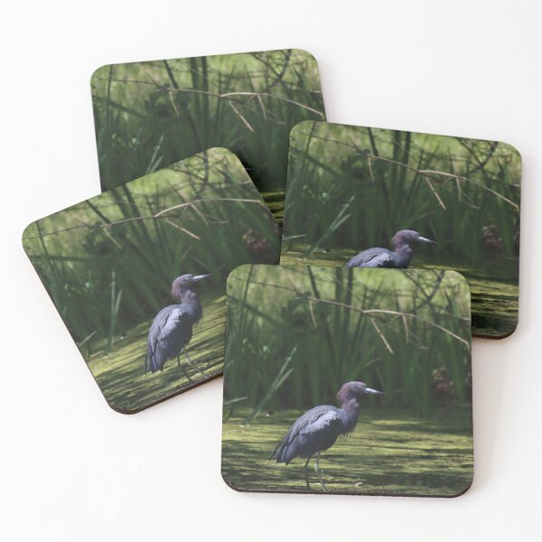 Item preview, Little Blue Heron in Bayou designed and sold by thatpersonsoph.