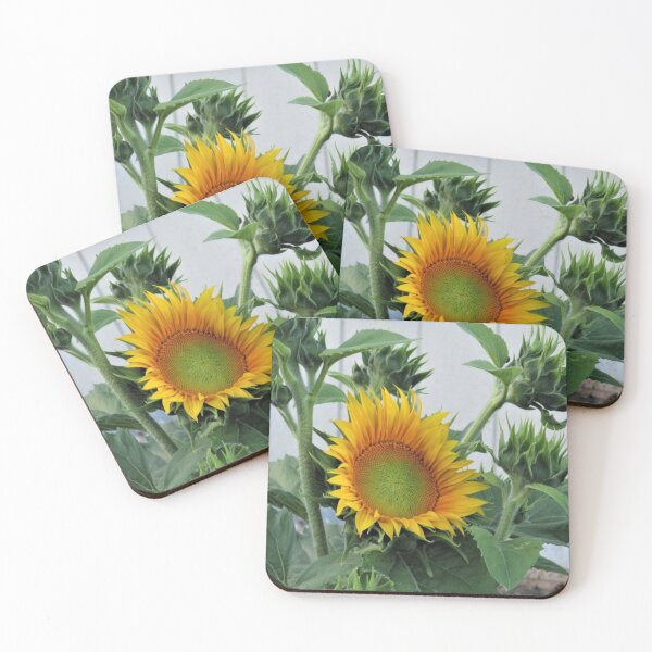 Item preview, Sunflowers with More on the Way designed and sold by JLPeterson65.