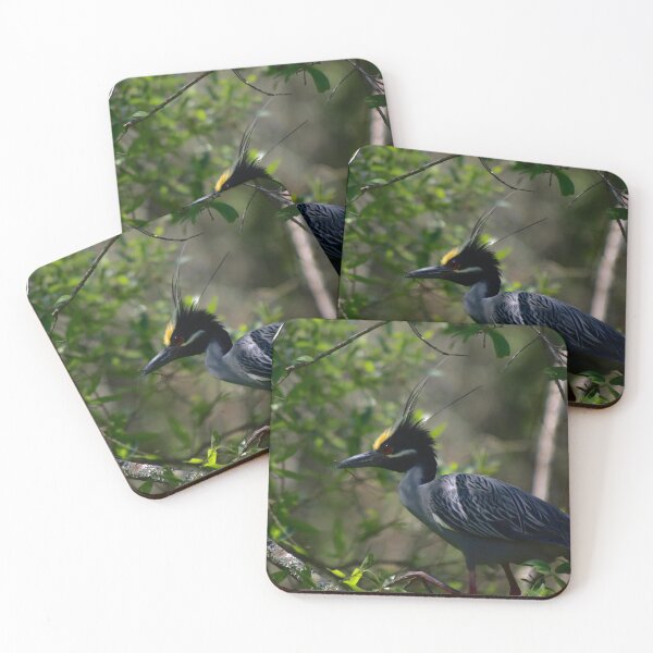 Item preview, Yellow-Crowned Night Heron designed and sold by thatpersonsoph.