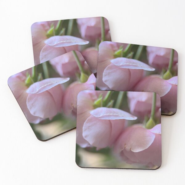 Item preview, Pale Pink Rose Blooms designed and sold by lyf24.