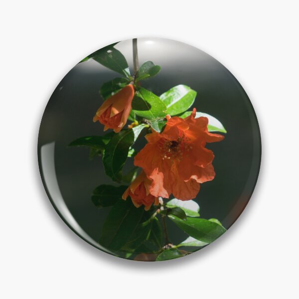 Item preview, Slender Sunlit Pomegranate Branchlet with Buds and Blooms designed and sold by Georgia Mizuleva.