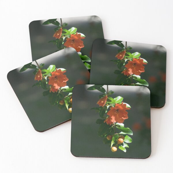 Item preview, Slender Sunlit Pomegranate Branchlet with Buds and Blooms designed and sold by Georgia Mizuleva.
