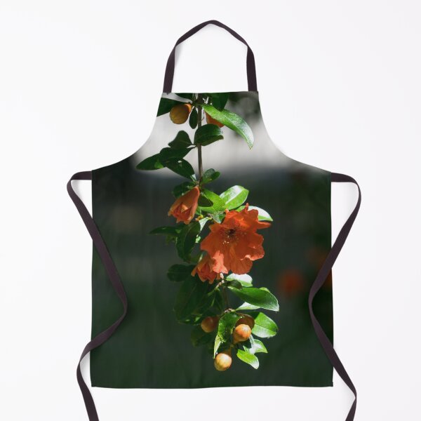 Item preview, Slender Sunlit Pomegranate Branchlet with Buds and Blooms designed and sold by Georgia Mizuleva.