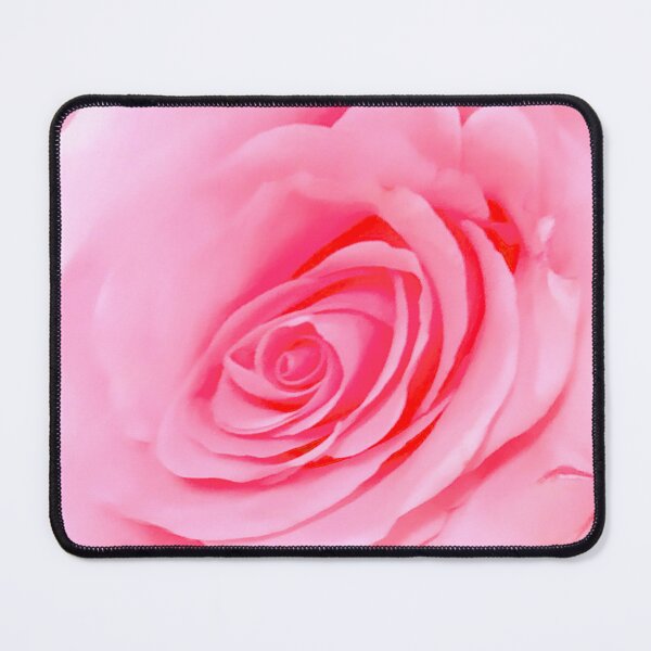 Item preview, Stunning Pink Yellow Orange Roses Photography designed and sold by Victoria Rose.