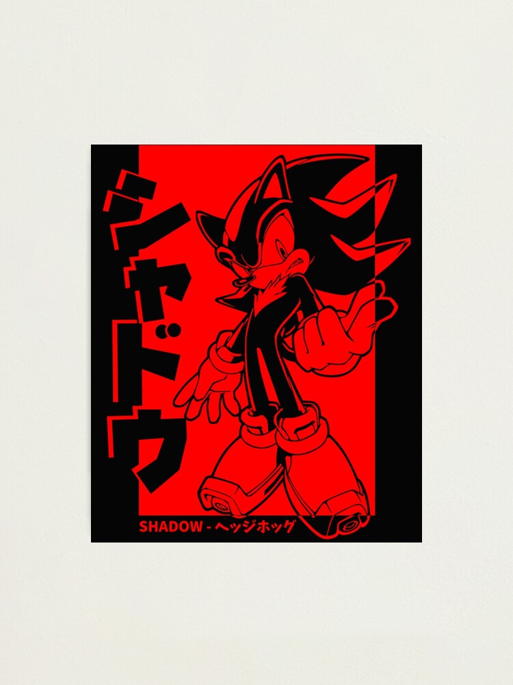 激レア！the shadow of the official art works Shadow The Hedgehog cool 
