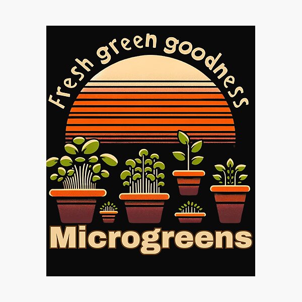 Item preview, Microgreens Fresh green goodness designed and sold by KarolRuszczyk.