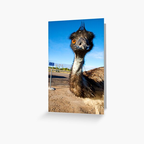 Emu Greeting Card