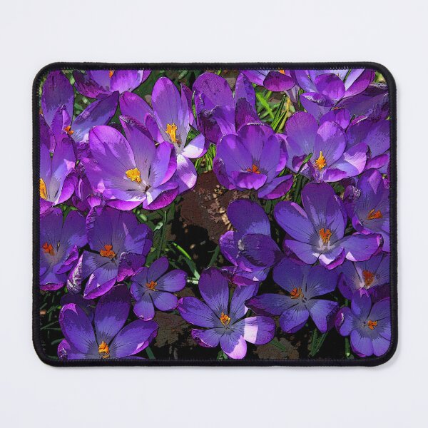 Item preview, Crocus Cluster designed and sold by RedHillDigital.