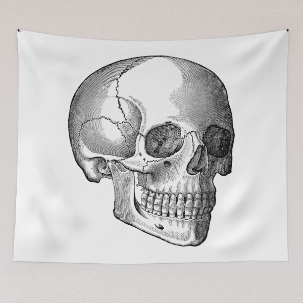 Item preview, Skull 2 designed and sold by upopot.