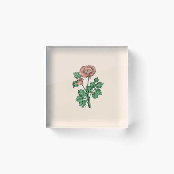 Item preview, Apricot Rosette Rose Bloom Single 1-7 Petals Almost Flat designed and sold by Rachael Taylor.