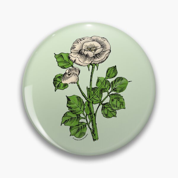Item preview, Cream Rosette Rose Bloom Single 1-7 Petals Almost Flat designed and sold by Rachael Taylor.