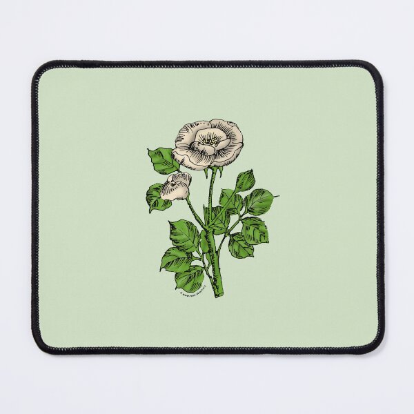 Item preview, Cream Rosette Rose Bloom Single 1-7 Petals Almost Flat designed and sold by Rachael Taylor.