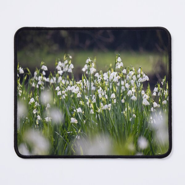 Item preview, A meadow of White Loddon Lilly blooms designed and sold by Imladris01.