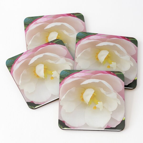 Item preview, Pink And White Camellia designed and sold by Designsbygroovy.
