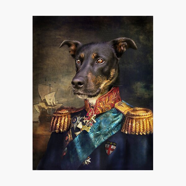 Dog Portrait - Arlo Photographic Print