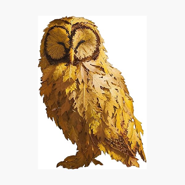 Item preview, An autumn owl designed and sold by WildernessTints.