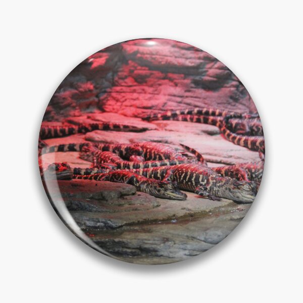 Item preview, Newly Hatched Alligators designed and sold by Cynthia48.