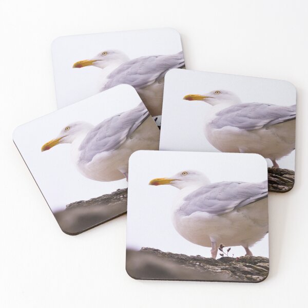 Item preview, Vigilant Seagull designed and sold by mathilde3333.