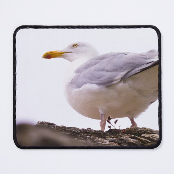 Item preview, Vigilant Seagull designed and sold by mathilde3333.