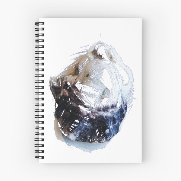Item preview, Twice a shell. designed and sold by jerôme hémain.