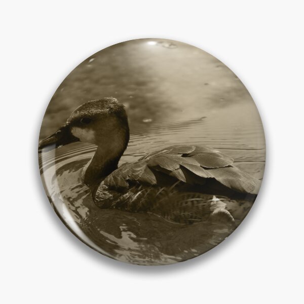 Artikelvorschau, Fulvous Whistling Duck Valencia Tint entworfen und verkauft von eddiebarronshop.