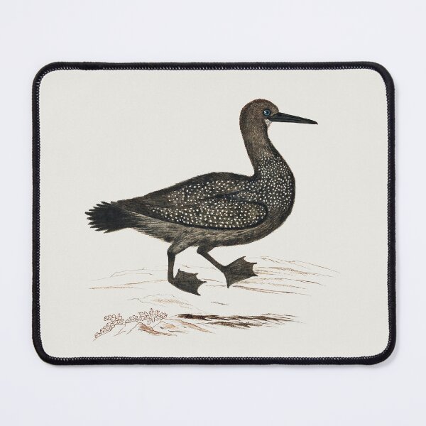 Item preview, Vintage Seabird Illustration designed and sold by Vintage Designs +.