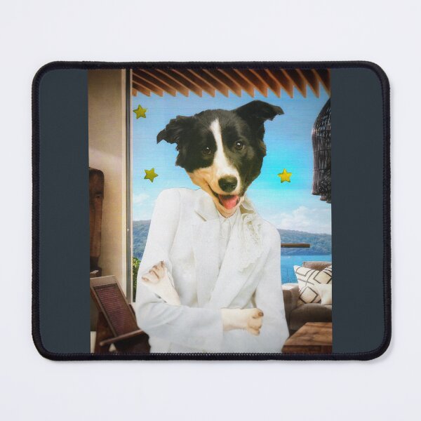 Item preview, Border Collie in a White Suit - 'Beach House Bitch'  designed and sold by Nikki Fortuin Arts & Crafts.
