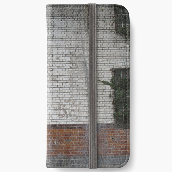 Faded Faience iPhone Wallet