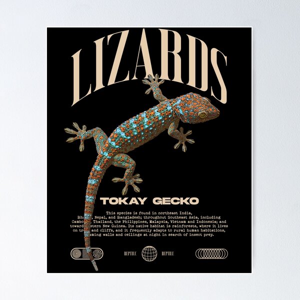 Item preview, Tokay Gecko Modern Reptile Keeper Streetwear designed and sold by JRRTs.