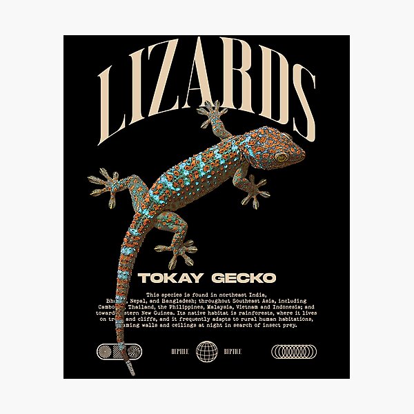 Item preview, Tokay Gecko Modern Reptile Keeper Streetwear designed and sold by JRRTs.