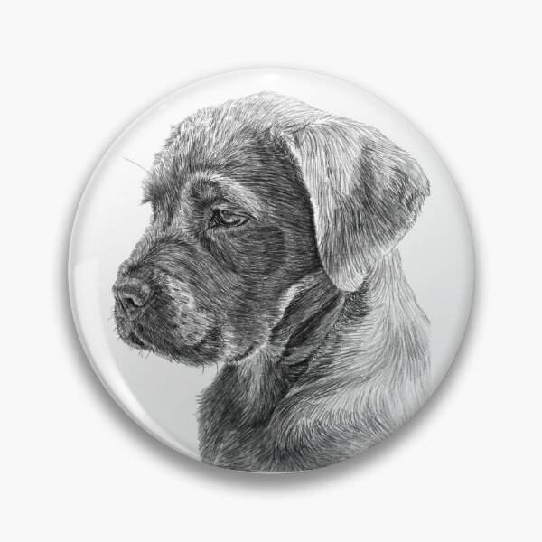 Artikelvorschau, Skizzierter Hund entworfen und verkauft von Miksonek04.