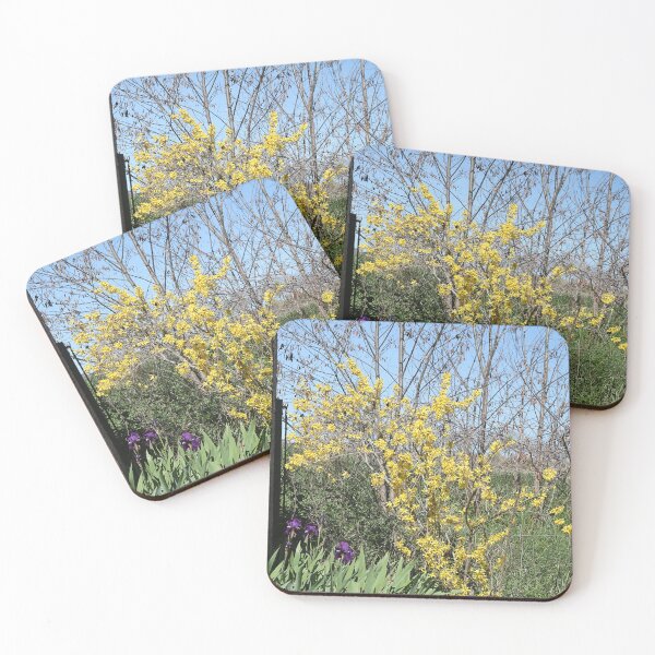 Item preview, Spring parking. designed and sold by Paul Pasco.