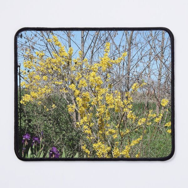 Item preview, Spring parking. designed and sold by Paul Pasco.