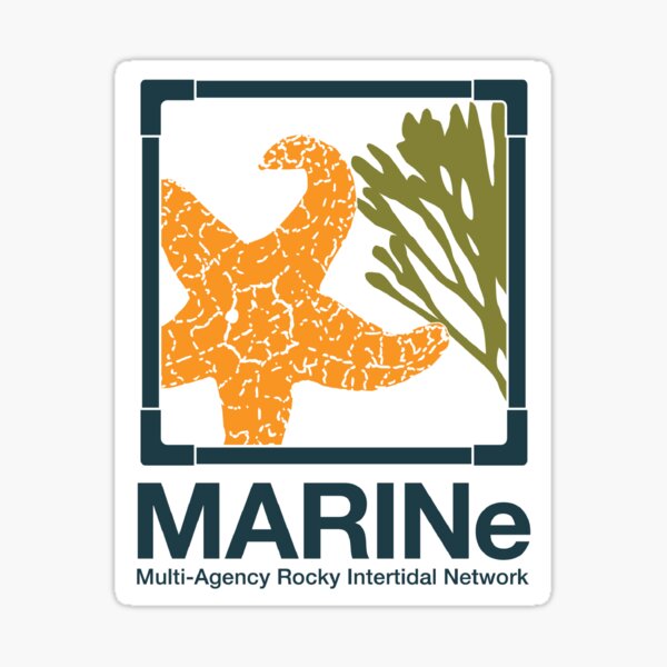 Item preview, Primary MARINe logo square designed and sold by MARINetides.