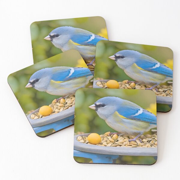 Item preview, Small Bird feeder,  designed and sold by Frame of Mind .