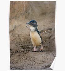 Penguin Poster