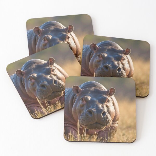 Item preview, Hippo Out of the Water,  designed and sold by Frame of Mind .