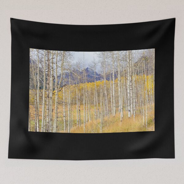Item preview, Aspen Ambience designed and sold by Eric Glaser.