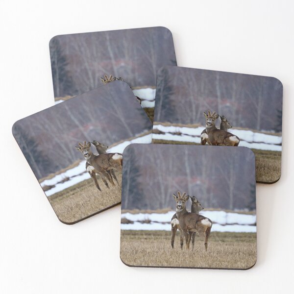 Item preview, Which way to go. Roe deer designed and sold by Jouko Lehto Photography.