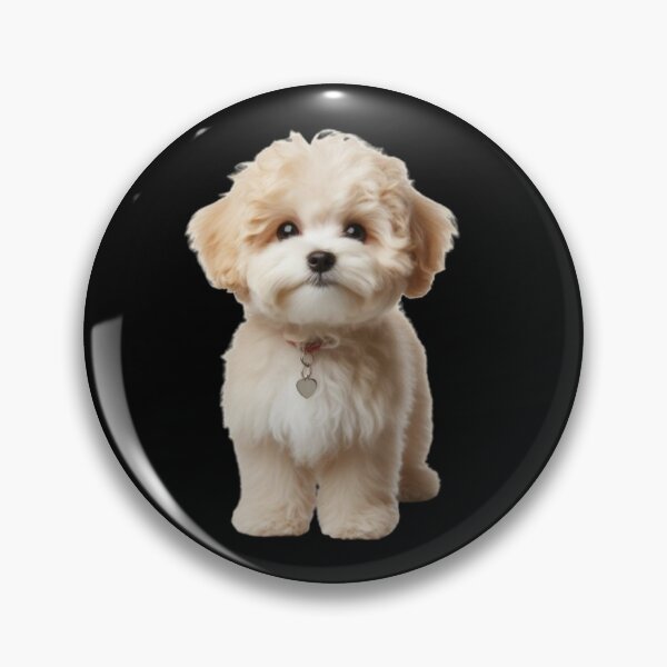 Item preview, Maltipoo designed and sold by joabaj.