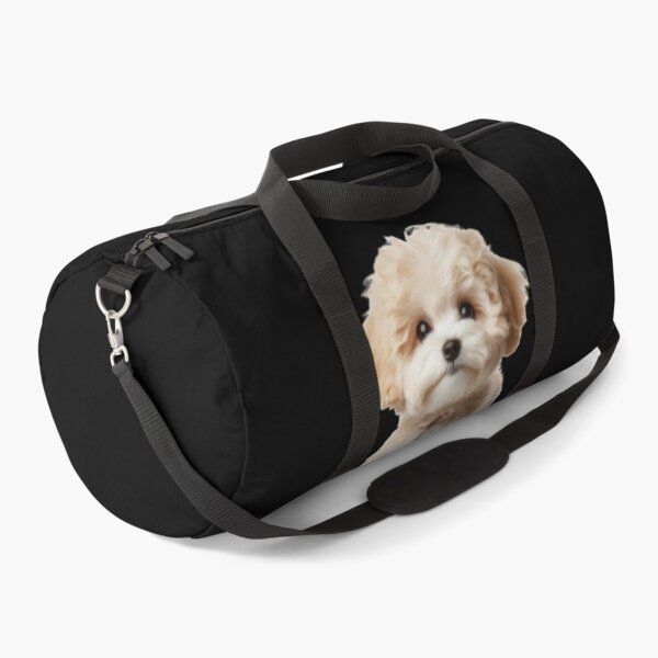 Item preview, Maltipoo designed and sold by joabaj.