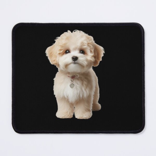 Item preview, Maltipoo designed and sold by joabaj.