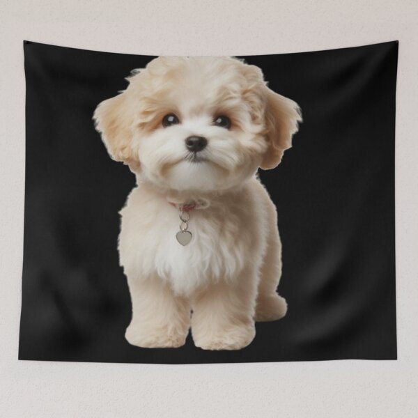 Item preview, Maltipoo designed and sold by joabaj.