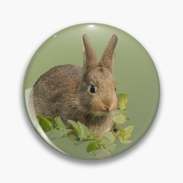 Item preview, Baby Bunny Rabbit Placement Print designed and sold by Jane Stanley Photography.