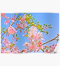 Vibrant Spring Poster